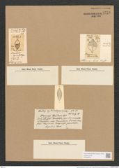 Stauroneis apiculata Grev. (de-Toni-Nr.: Genus 6, Species 920) Zeichnungen Sammlung Grunow Nr. 1778 (NHMW-BOT-W0368676)